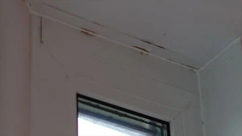 Rain Leaking Stock Videos – Royalty-Free HD & 4K Videos