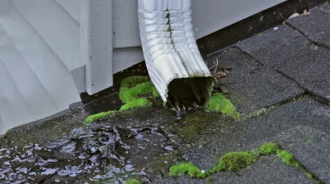 Roof Pipe Drain Video stock 47973787