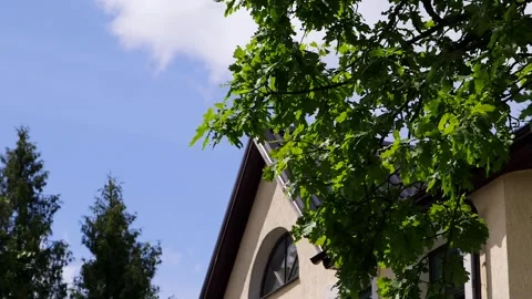 Roof Ridge of the Building with a Triangular Window Behind the Oak Foliage Stock Footage 291323882