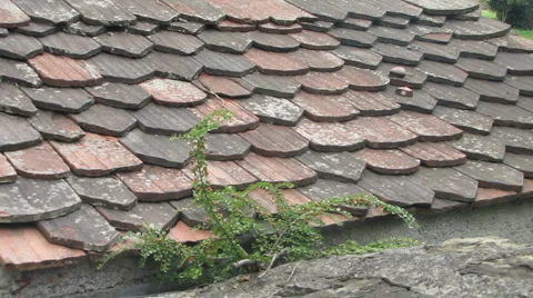 Roof of Shingles Stock-Footage 1079018