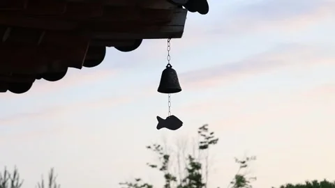 The roof of a temple at sunset 動画素材 310079909