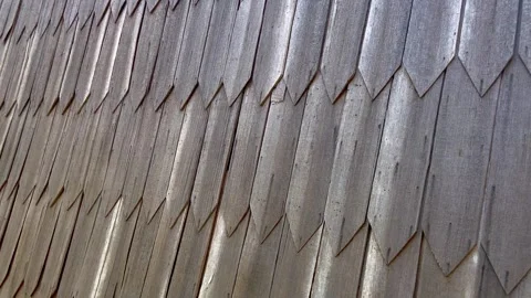 The roof texture 動画素材 251696926