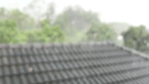 On roof2 Stock Footage 333802574