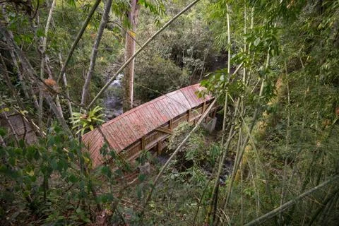 Roofed bridge built of bamboo Stock Photos