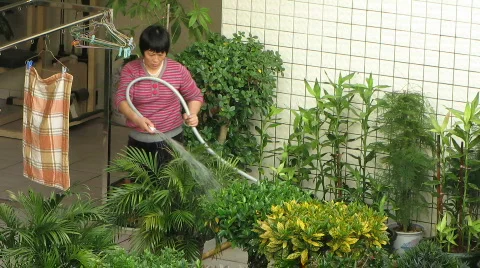 Roofgarden Stock Footage 623872