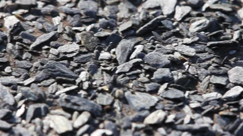 Roofing Roofing Felt Stock Footage 58897004