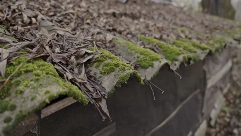 Roofing slate of the hut covered with fallen leaves and moss. Vídeo Stock 321294638
