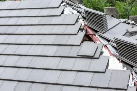 Roofing tiles 写真素材