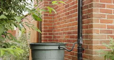 Roofline drainage pipe with diverting device filling rainwater storage in barrel 库存影片 158396134