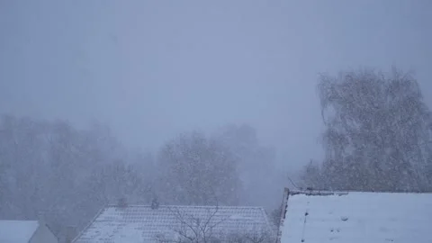 Roofs and treetops in snow storm. Snowfall, wind. With audio. Blizzard sound. Stock Footage 152069480