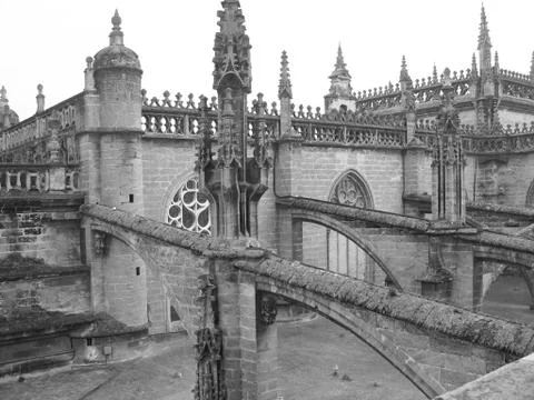 The roofs of the cathedral. Stock Photos