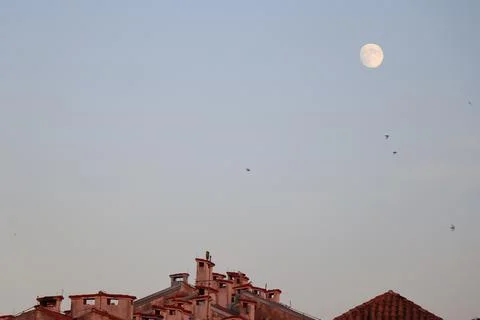 Roofs with chimneys Stock Photos
