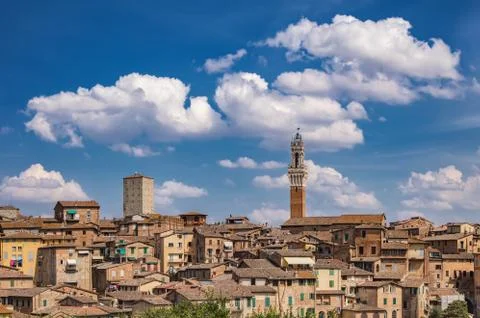 Roofs of Siena Stock Photos