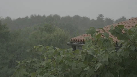 Rooftop and a forest behind the house in a downpour Stock Footage 160149657