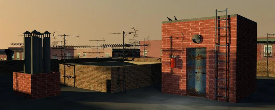 Rooftop in Brooklyn Stock Illustration