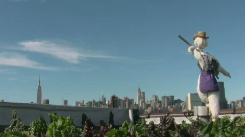 Rooftop Gardens Stock Footage 698963