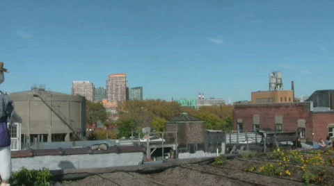 Rooftop Gardens Stock Footage 698972