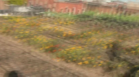 Rooftop Gardens Stock Footage 698977