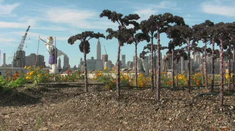 Rooftop Gardens Vídeos de archivo 698979
