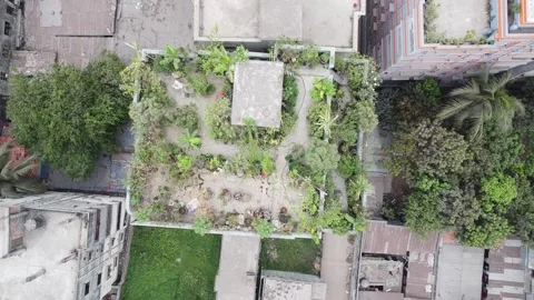 Rooftop green garden Stock Footage 297243054