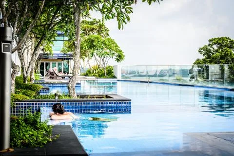 Rooftop infinity swimming pool with sunbathing lounge chairs and trees Stock Photos