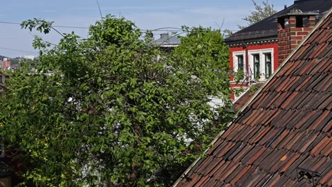 Rooftop of an old house and trees Stock Footage 274982452