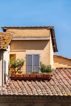 Rooftop Paradise Stock Photos