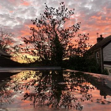 Rooftop Reflections of a Tree During Winter Sunset Foto stock