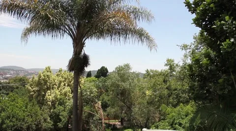 Rooftop view of city Stock Footage 51565003