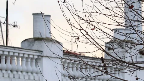 Rooftop View over London Stock Footage 170385922