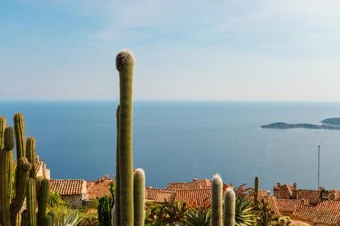 Rooftop view Stock Photos