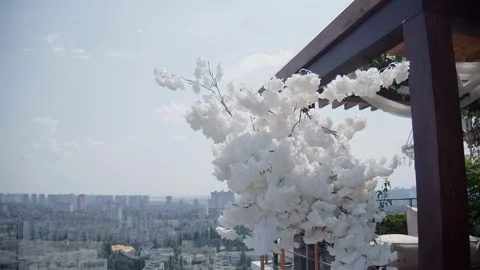 Rooftop wedding ceremony area. Stock Footage 293224882