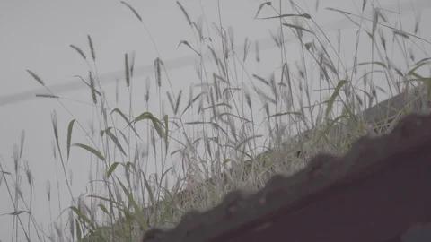 Rooftops of chinese hutong Stock Footage