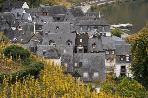 Rooftops nestled against the backdrop of lush vineyard slopes Stock Photos