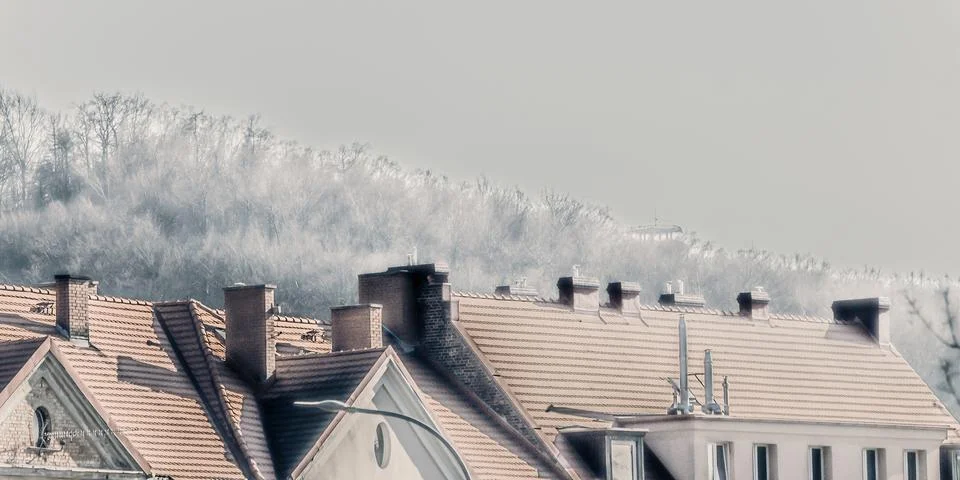 Rooftops with snowy hillside in winter Stock Photos