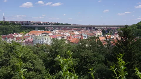 Rooftops, TV Tower and Bridge Seen Through Tree Leaves, 120fps Stock Footage 312575101