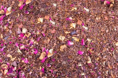 Rooibos tea with chocolate and rose petals Stock Photos