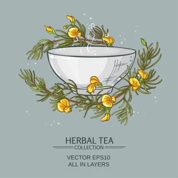 Rooibos tea illustration Illustrazione stock