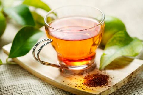 Rooibos tea Stock Photos