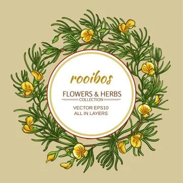 Rooibos vector frame Stock Illustration