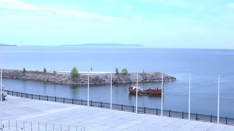 Rook Stock Footage 75779245