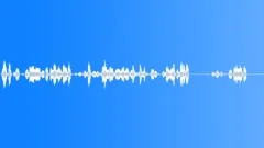 Rooks ArguingSound Effect