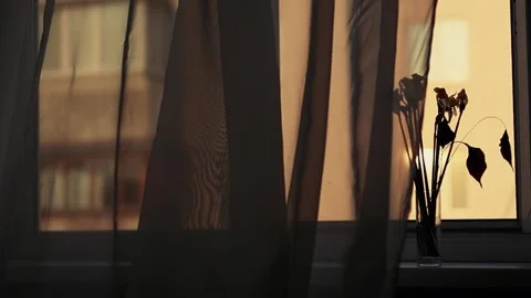 The room curtain is blown by the wind from the window Video stock 333206409