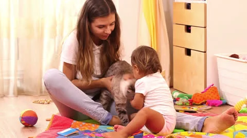 In room Stock Footage 22638851