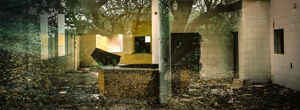 Room in the forest Foto stock