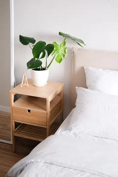 Room interior with bedside table and Monstera plant Foto stock