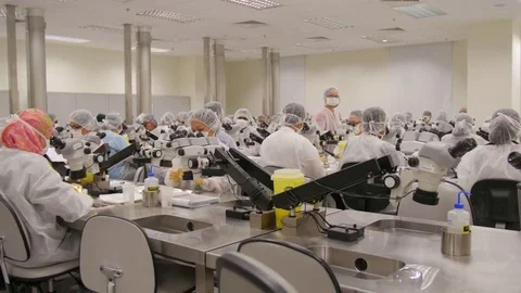 Room of lab technicians working Stock Footage 77605310