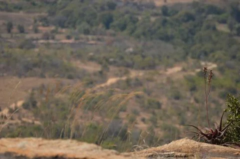 Room with a View Stock Photos