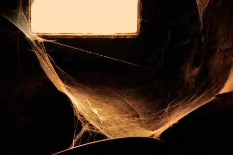 Room with window and spiderweb Stock Photos