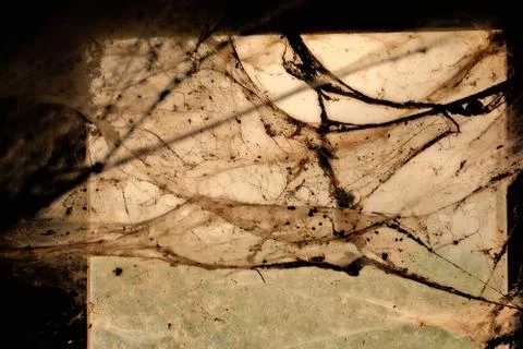 Room with window and spiderweb Stock Photos